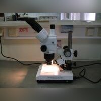 Стереомикроскоп Unico ZM181
