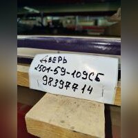 Дверь 2501-59-109СБ