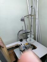 Оверлок PEGASUS