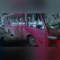 Автобус  ПАЗ REAL