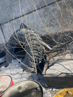 Автошина 24.00 R35 RL-4J 209B E4 6S TLI