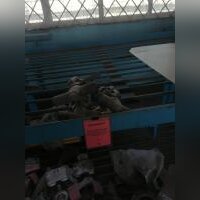 Клапан регулирующий игольчатый  10с-5-2-1 Dу25 Pn9,8 МПа Т=450°C (Вода-пар) - М