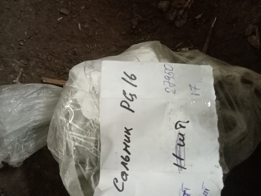 НПА_Сальник PG16 d10-14мм IP54