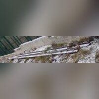 Рельс Р-43 ГОСТ Р 51685 б/у