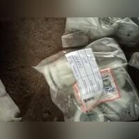 НПА_Сальник PG36 d 24-32mm IP54