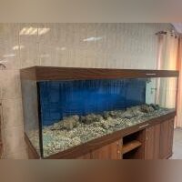 АКВАРИУМ /225Х60Х70/ С ПОДСТАВКОЙ