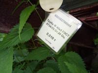 Труба Ф 42х3 ГОСТ 8734-75 Ст.20 Оц.