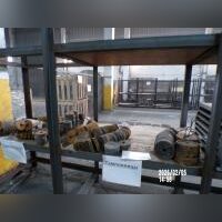 Тампонницы