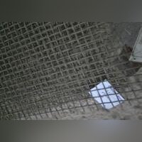 Сетка 23*5.0Р