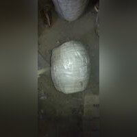 Шнур ВАТИ корд 600 ф 8,0мм