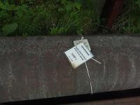 Труба 273х10 ГОСТ 8732-78 Ст.20 б/у