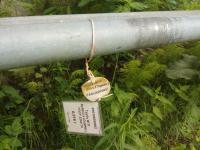 Труба ВГП Dy50х3.5 (ОЦИНК.) ГОСТ 3262-75