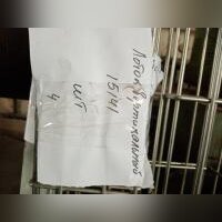НПА_Лоток вертикальный