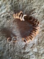 Контргайка Д15