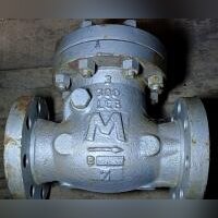 Клапан обратный Dendor Ду80 Ру16 межфланцевый, двустворчатый, тип 010С