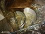 Компл.вкладышей шатун.Д240-1004140Р2