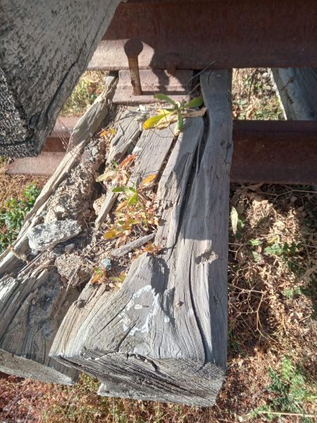 Рельсы Р-50, Р-65, Р-75 (б/у)