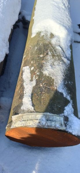 Поковка ф 300х1500 ст.15Х1М1Ф(847)