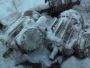 Электродвигатель 4ВР50LУ2.5 P=75кВт n=1500об/мин, U=660/380В, 