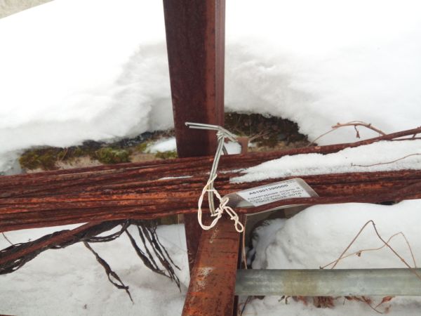 Арматурная сталь 8 А240 пруток (Ст 3пс) ГОСТ 34028-2016