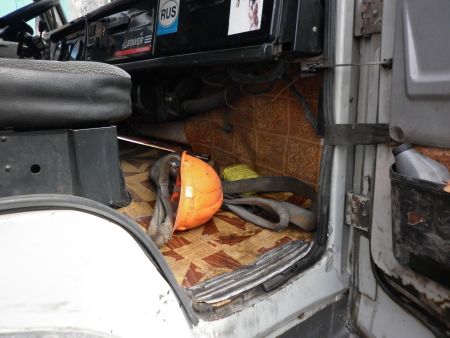 Камаз 53215 N