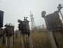 Трансформатор ТМ 250/10 б/у (Вересовая)