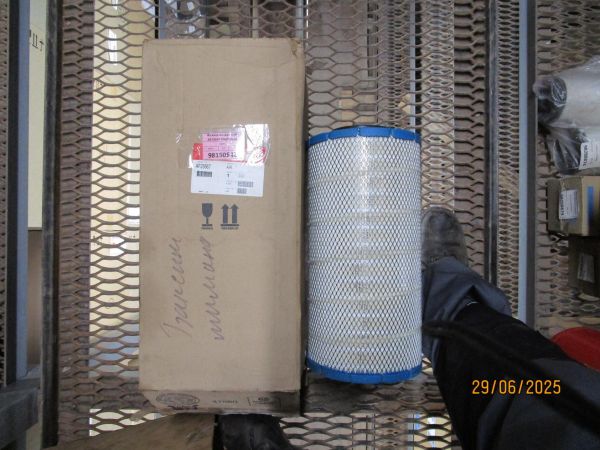 Фильтр воздушный AF25667 Fleetguard