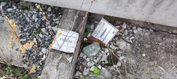 Свая забивная С80.30-ВСв5