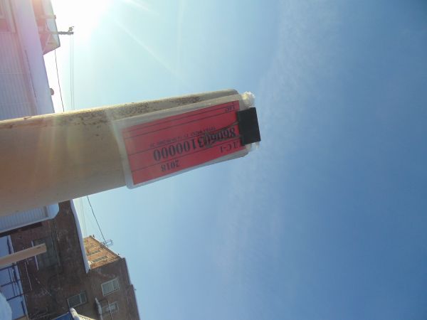 ТРУБА Ф42Х5  ТУ 14-3Р-55-2001  20