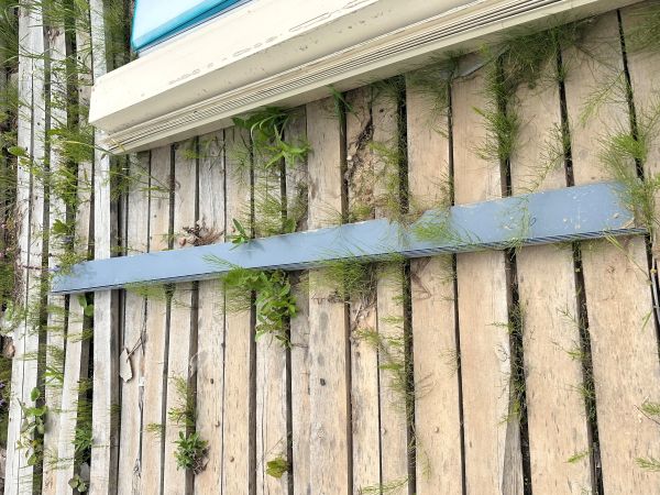 Профиль ФЭ-9 450х0.5 (м)