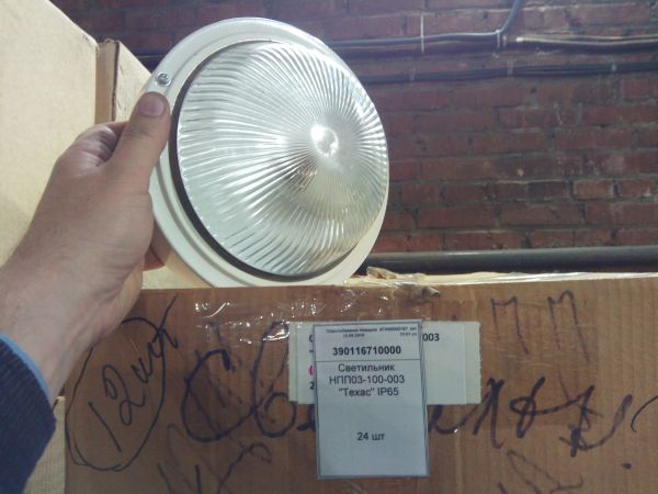 Светильник НПП03-100-003 "Техас" IP65