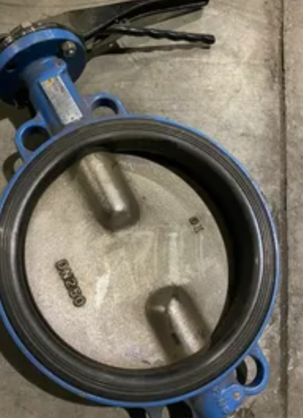 Затвор Dn125 Pn16 VP4548-00EP0125 Tecofi