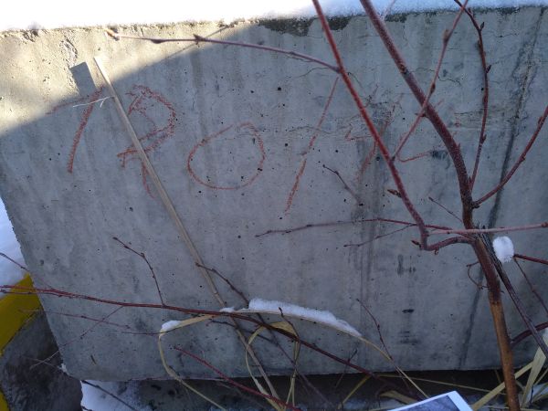 Свая забивная С120.40-НСв-4 (47044566)