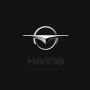 Эмблема объемная HAIMA