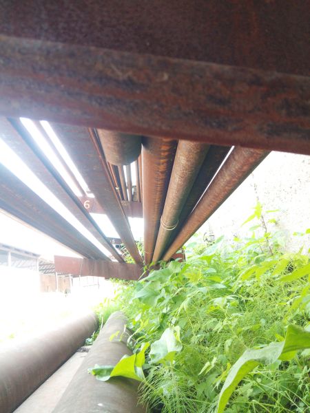 Труба Ф 60х3.5 ГОСТ 8732-78 Ст.20