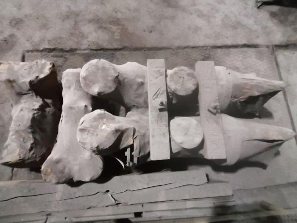 Фильтр масляный нагнетателя Н-1200-26