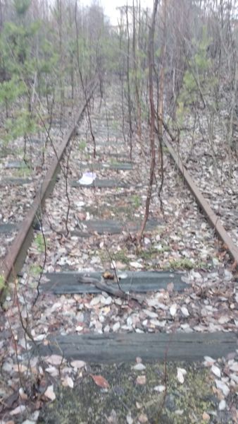 ЖД ПУТЬ НЕОБЩЕГО ПОЛЬЗОВАНИЯ