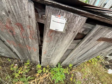 Лента конвейерная бу