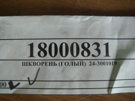 ШКВОРЕНЬ (ГОЛЫЙ)  24-3001019