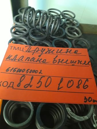 ПРУЖИНА КЛАПАНА ВНЕШНЯЯ  61500050002