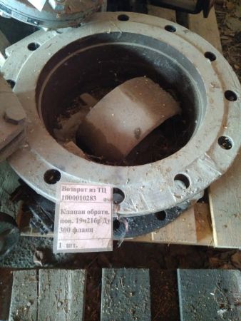Клапан обратный Ду 300 Ру16 19ч24бр