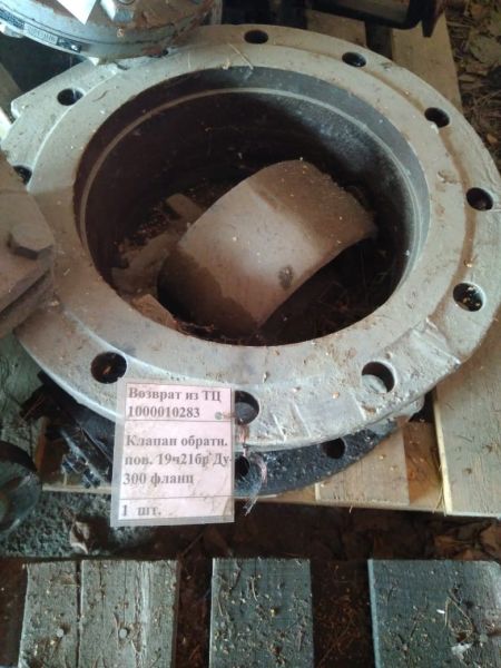 Клапан обратный Ду 300 Ру16 19ч24бр