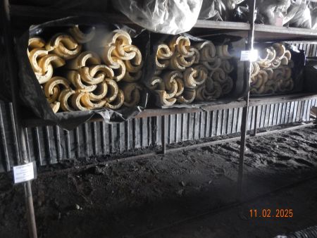 Скорлупа ППУ 76-30 Без покрытия