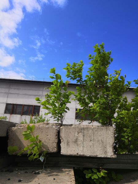 Балка 5000х700х400