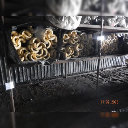 Скорлупа ППУ 76-30 Без покрытия