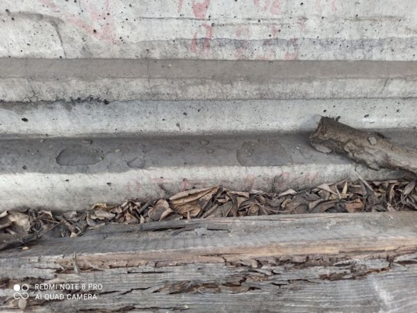 Плита ж/б ПФЖ 8-2-11