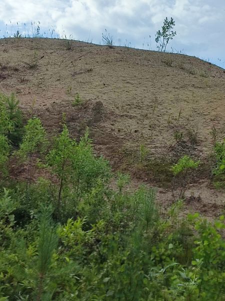 Песок "Айюва-1"