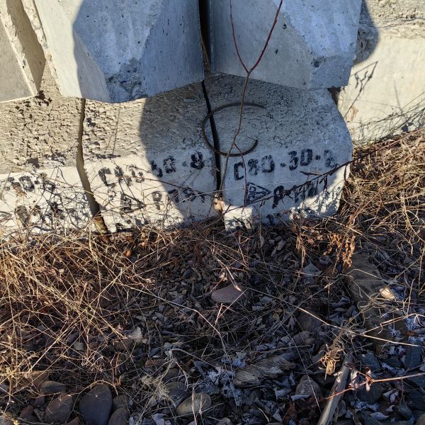 Свая забивная С80.30-8