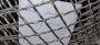 Сетка сталь 12х18н10т 