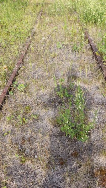 ЖД ПУТЬ НЕОБЩЕГО ПОЛЬЗОВАНИЯ